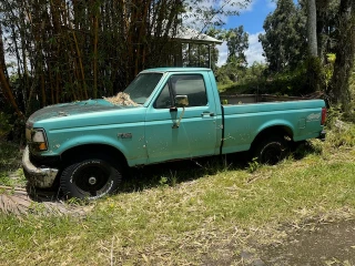 1995 Ford F-150